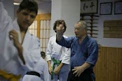 Suezawa Sensei Bursa 2015 (Aikido çocuk) 