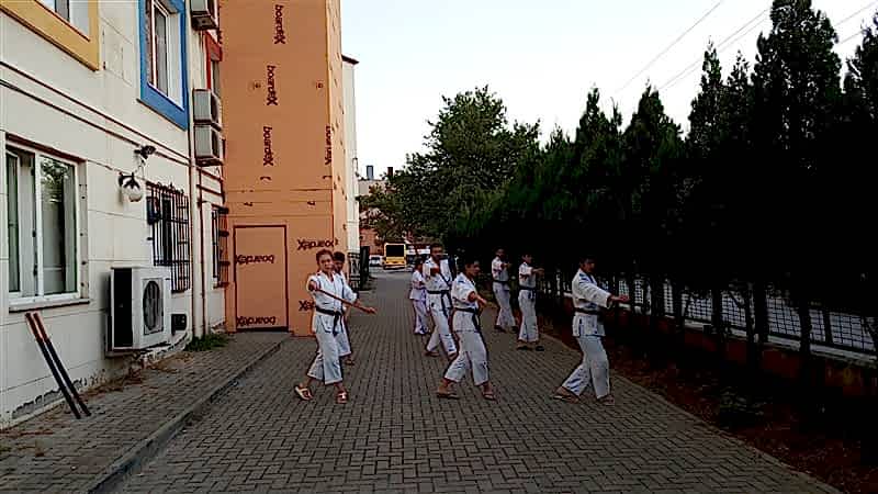 Dojodan Görüntüler (2018)