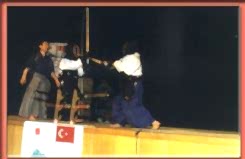 2000 Mersin Aikido ve Kendo Gösterileri