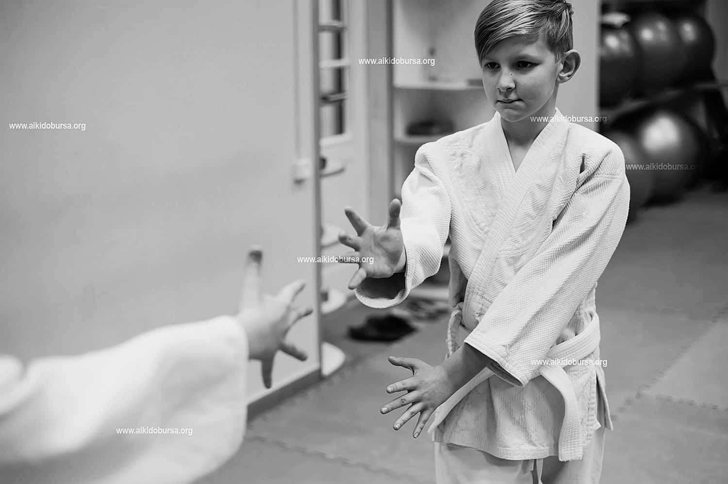 Mushin (Sarsılmaz Zihin)