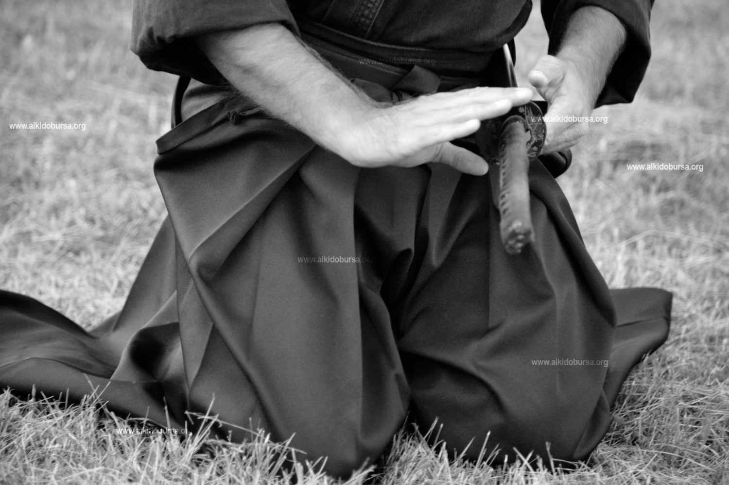 Gi- Dürüstlük- Adalet